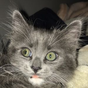 Meet your Posher, Mayci